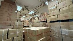 Pantech Business Hub (D5), Factory #518310431